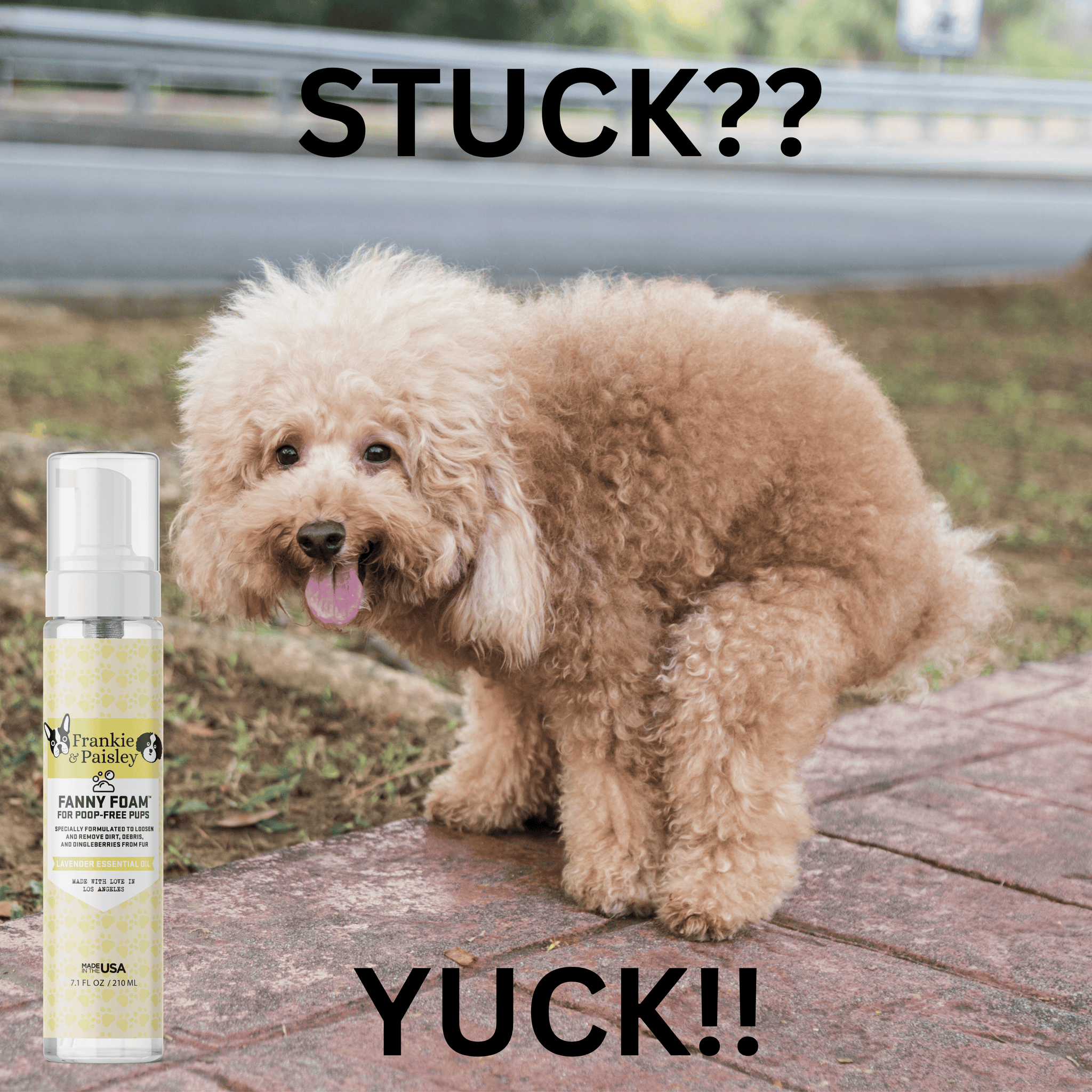 Fanny Foam™ Doggy Dingleberry Remover and Muddy Paw Treatment for