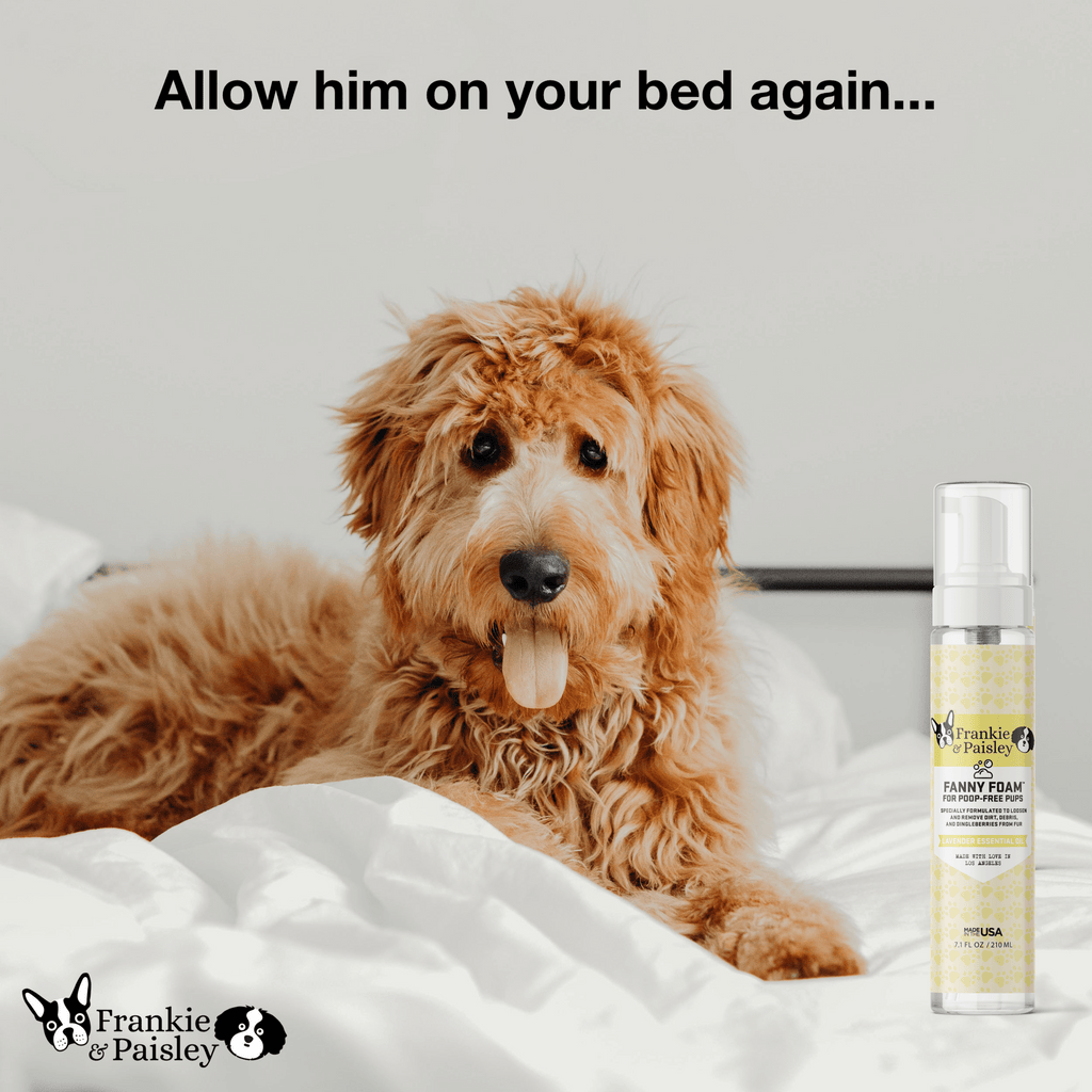 Fanny Foam™ Doggy Dingleberry Remover and Muddy Paw Treatment for Poop Free Pups - Frankie & Paisley Pet Products