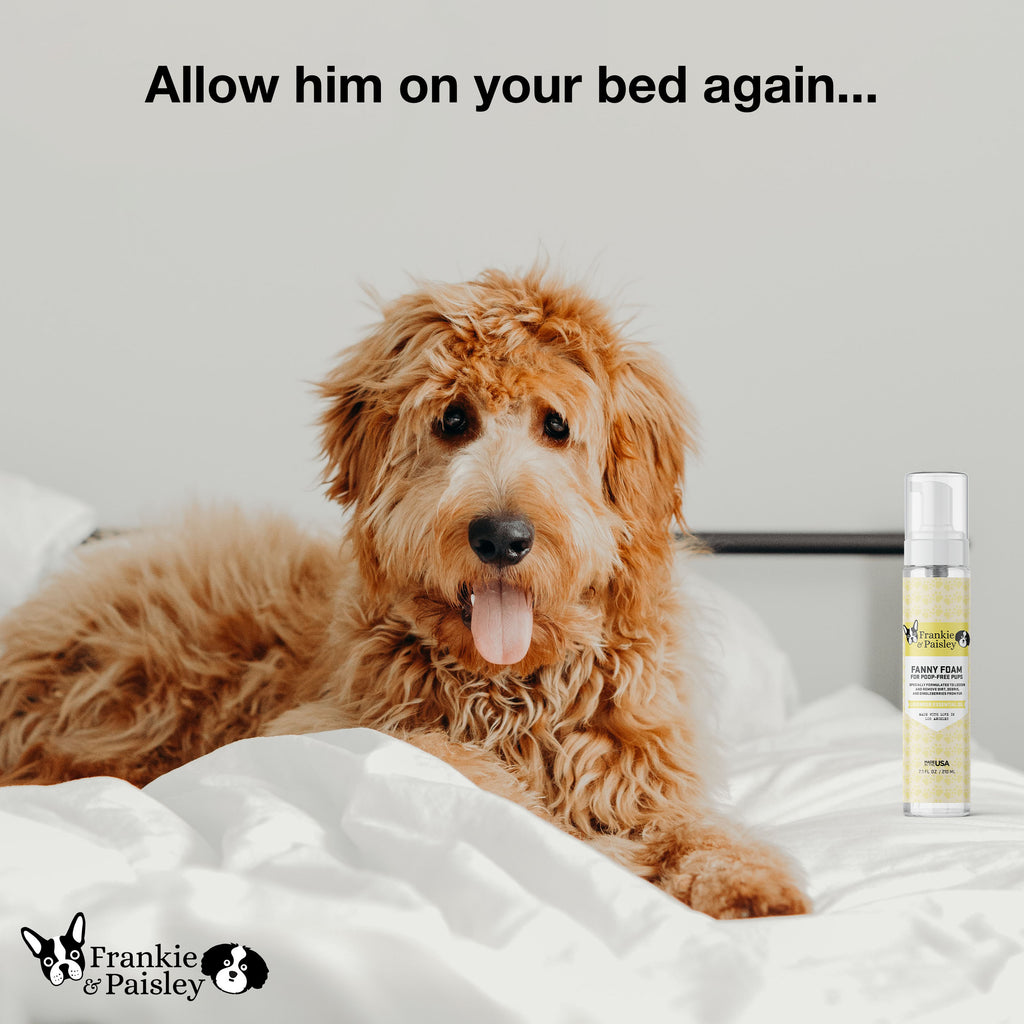 Dapper Doodle Bundle - K9 Shampoo + Waterless Shampoo + Fanny Foam™ + Pure Relief Hot Spot Spray - Frankie & Paisley Pet Products