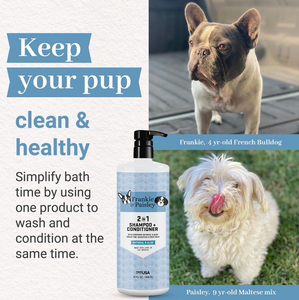 2-in-1 Shampoo + Conditioner Oatmeal & Aloe - 32oz - Frankie & Paisley Pet Products